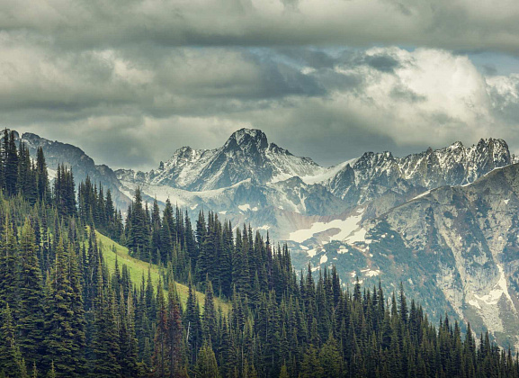 Актуальные HR-вопросы и тенденции рынка труда